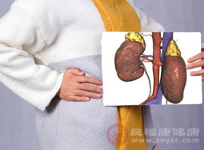 肾脏作为重要的排泄器官，主要功能是过滤血液，排除多余的废物和多余的水分，同时维持体内的水平衡和酸碱平衡