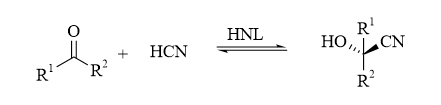 c13de536134f8834b88bffa9438451a2.png